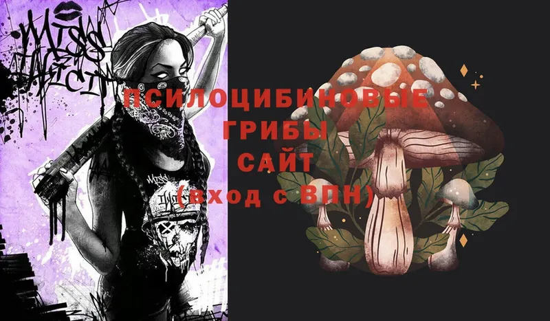 MEGA вход  Коряжма  Галлюциногенные грибы MAGIC MUSHROOMS 